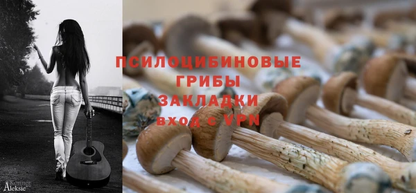шишки Новодвинск
