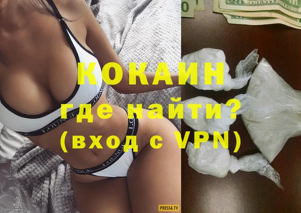 шишки Новодвинск
