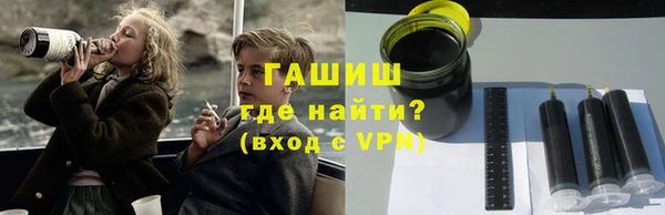 шишки Новодвинск