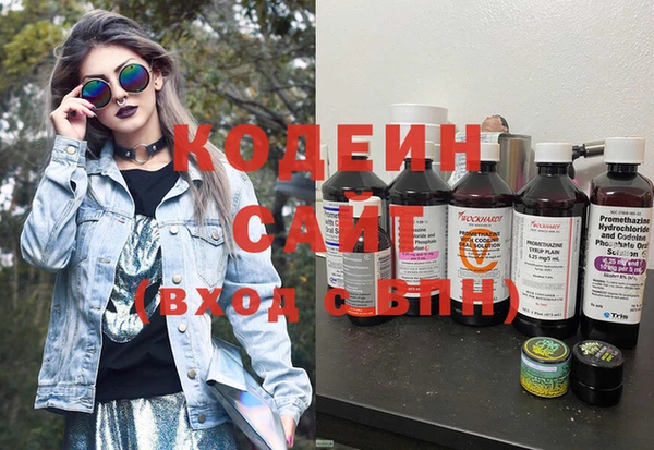 шишки Новодвинск
