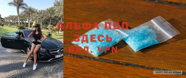 крисы Дедовск