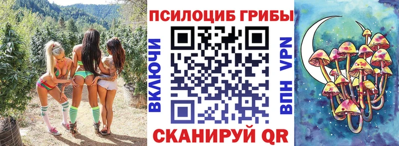 Псилоцибиновые грибы Cubensis  дарнет шоп  Кадников 